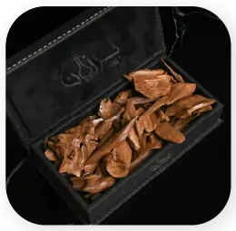 collection-img